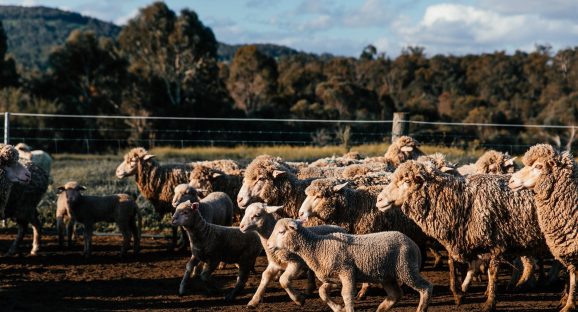 My Experience With Probate